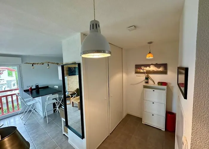 Appartement Grand - Piscine - Plage- Terrasse Saint-Jean-de-Luz